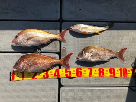 遊漁船高橋 釣果