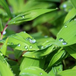 小菅トラウトガーデン 釣果