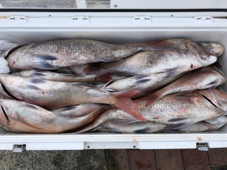 幸風（さちかぜ） 釣果