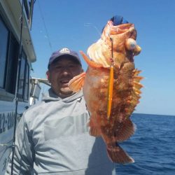 第五慶門丸 釣果