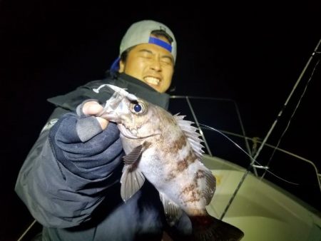 Magic（マジック） 釣果