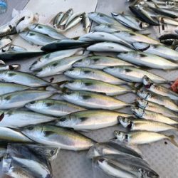 ミタチ丸 釣果