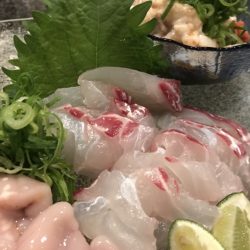 白墨丸 釣果