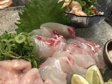 白墨丸 釣果