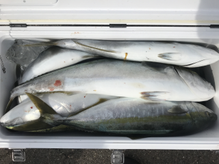 なかくに丸 釣果