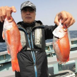 大進丸（愛知） 釣果