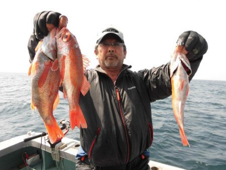 大進丸（愛知） 釣果