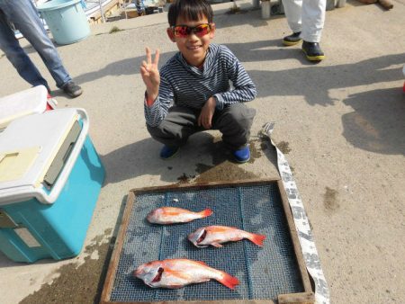 大進丸（愛知） 釣果