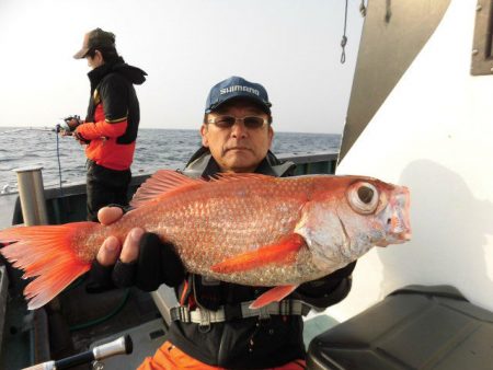 大進丸（愛知） 釣果