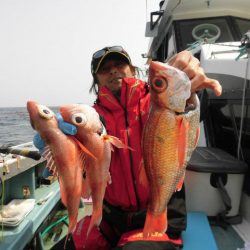 大進丸（愛知） 釣果
