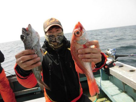 大進丸（愛知） 釣果