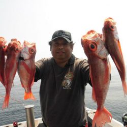 大進丸（愛知） 釣果