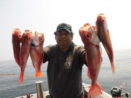 大進丸（愛知） 釣果