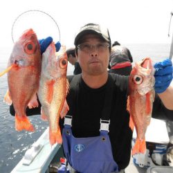 大進丸（愛知） 釣果