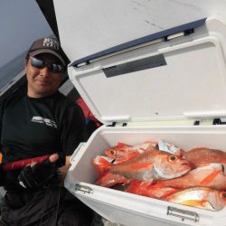 大進丸（愛知） 釣果