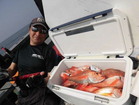 大進丸（愛知） 釣果