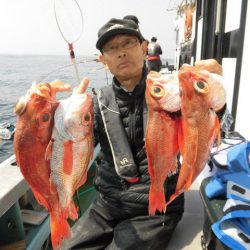 大進丸（愛知） 釣果