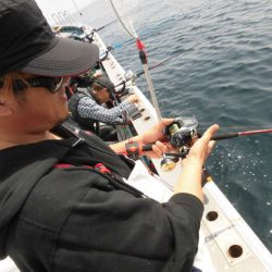 大進丸（愛知） 釣果