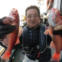 大進丸(愛知) 釣果