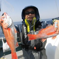 大進丸(愛知) 釣果