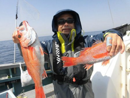 大進丸(愛知) 釣果