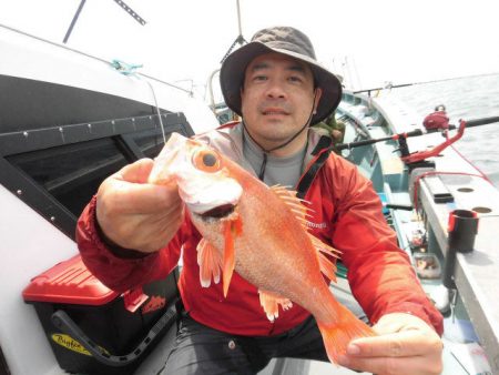 大進丸(愛知) 釣果