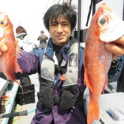 大進丸(愛知) 釣果