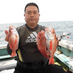 大進丸(愛知) 釣果