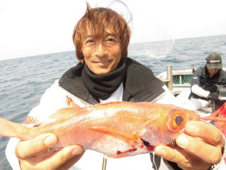 大進丸(愛知) 釣果