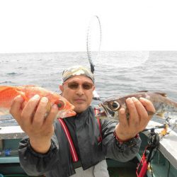大進丸(愛知) 釣果