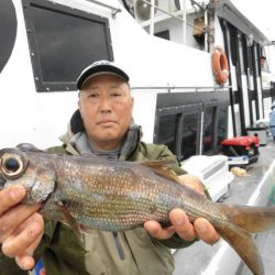 大進丸(愛知) 釣果