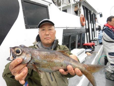 大進丸(愛知) 釣果