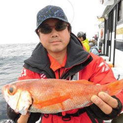 大進丸(愛知) 釣果