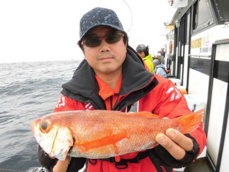 大進丸（愛知） 釣果