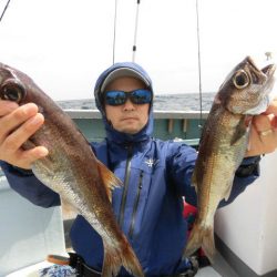 大進丸(愛知) 釣果