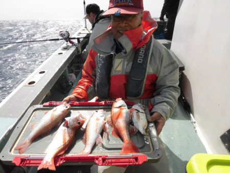 大進丸(愛知) 釣果