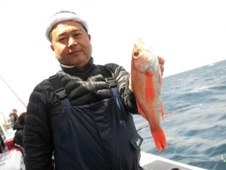 大進丸(愛知) 釣果