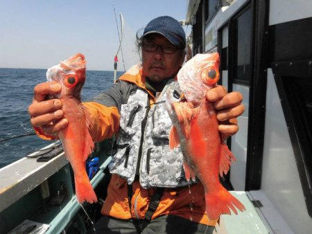 大進丸(愛知) 釣果