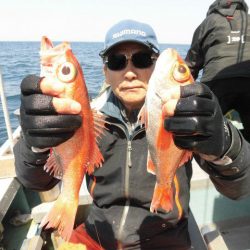 大進丸(愛知) 釣果