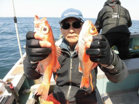 大進丸(愛知) 釣果