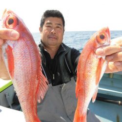 大進丸(愛知) 釣果