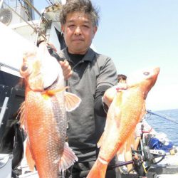 大進丸(愛知) 釣果