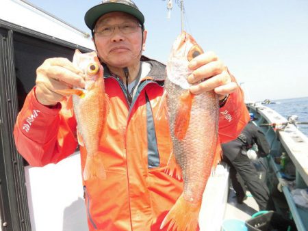 大進丸(愛知) 釣果