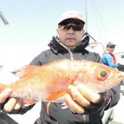 大進丸(愛知) 釣果