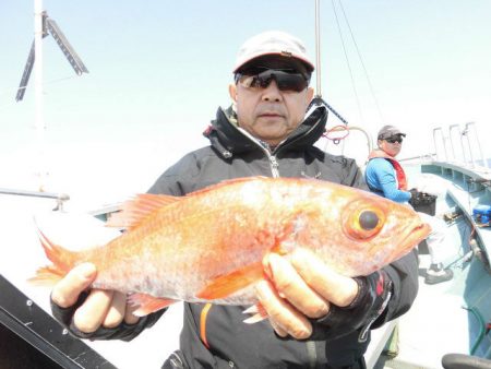大進丸(愛知) 釣果