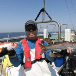 大進丸(愛知) 釣果