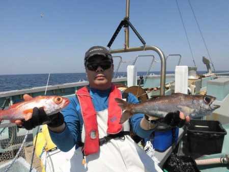 大進丸(愛知) 釣果