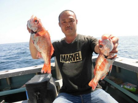 大進丸(愛知) 釣果