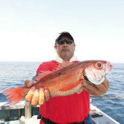 大進丸（愛知） 釣果
