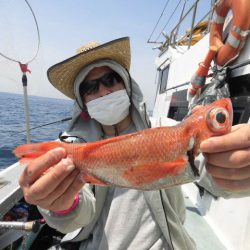 大進丸（愛知） 釣果